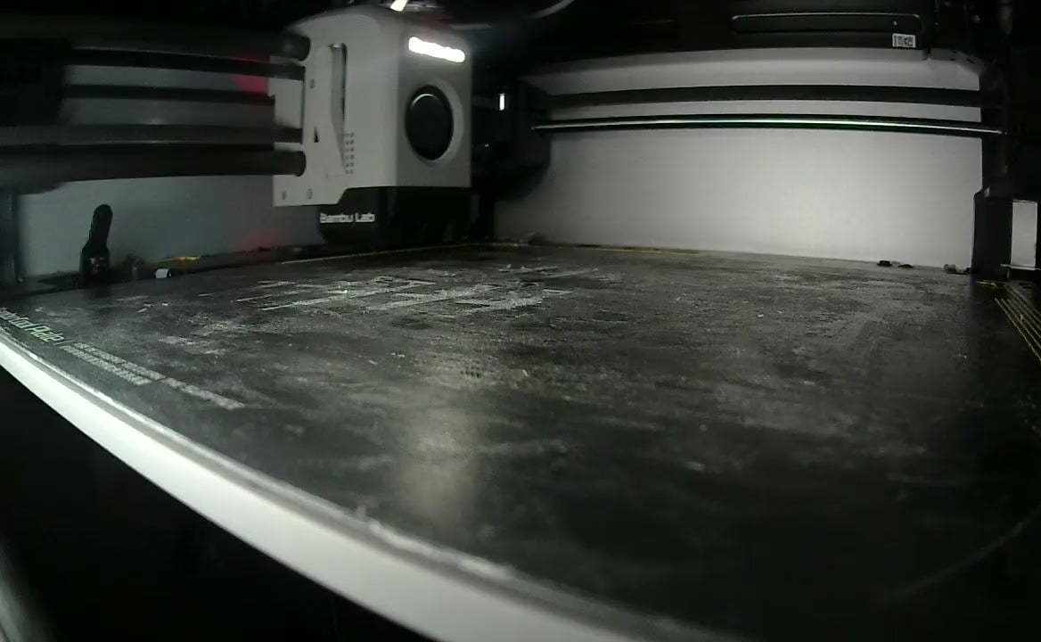 The lion's face is composed of multiple plastics, composited layer-by-layer.